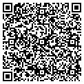 QR code with IBEW contacts