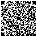 QR code with Carrier Access Corp contacts