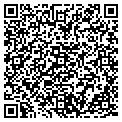 QR code with Shell contacts