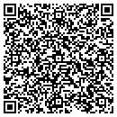 QR code with Publics Furniture contacts
