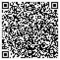 QR code with Scribe contacts