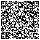 QR code with Print Mount Co contacts