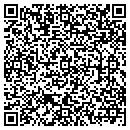 QR code with Pt Auto Repair contacts