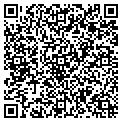 QR code with Basics contacts