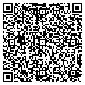 QR code with V F W contacts