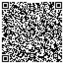 QR code with Cochran Design Assoc contacts