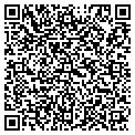 QR code with Window contacts