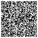 QR code with Cosmetic Cosmos LLC contacts