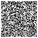 QR code with Precise Chiropractic contacts
