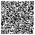 QR code with CDS Co contacts
