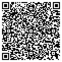 QR code with Vidi-O contacts