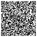 QR code with Carpet City USA contacts
