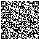 QR code with Premier Service Bank contacts