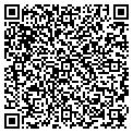 QR code with Vector contacts