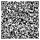 QR code with Pt Woodworking Inc contacts