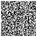 QR code with Public Works contacts