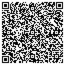 QR code with Carlu Consulting Inc contacts