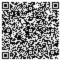 QR code with Satori contacts