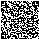 QR code with Provider The contacts