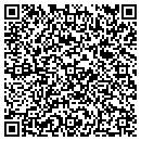QR code with Premier Realty contacts