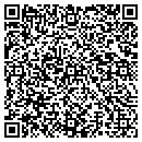 QR code with Brians Collectables contacts
