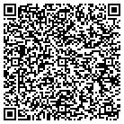 QR code with Pediatric Innovations contacts