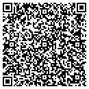 QR code with Boral Bricks Studio contacts