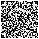 QR code with Pulseworks contacts