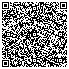 QR code with Blue Ridge MRO Consulting contacts