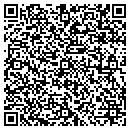 QR code with Princess Tours contacts