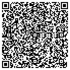 QR code with Public Safety Telephone contacts