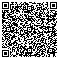 QR code with Willows contacts