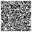 QR code with Cytec Industries Inc contacts