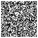 QR code with Precision Lapidary contacts