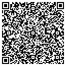QR code with Pygmalion Ltd contacts