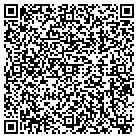 QR code with Pulliam & Matthew LLC contacts