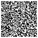QR code with Colonial Pipeline Co contacts