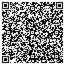 QR code with Cs Construction Inc contacts