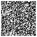 QR code with Colleton County DSS contacts