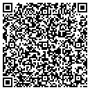 QR code with Chemipulp Process Inc contacts