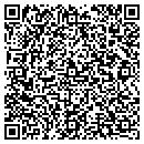 QR code with Cgi Development Inc contacts