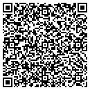 QR code with Chapin Branch Library contacts