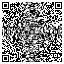 QR code with Premier Landscape contacts