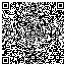 QR code with Public Storage contacts