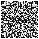 QR code with Pulliam Agency contacts