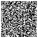 QR code with C D's Taxi Service contacts