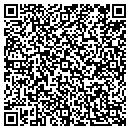 QR code with Professional Towing contacts