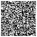 QR code with Prudential Palmetto contacts