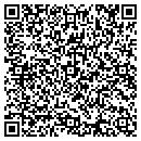 QR code with Chapin Package Store contacts