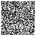 QR code with D V S contacts